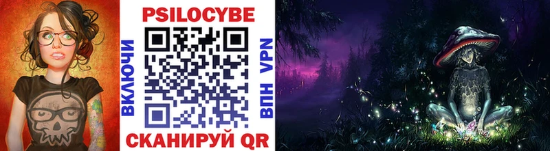 Купить закладки  Ужур  Псилоцибиновые грибы Psilocybine cubensis 
